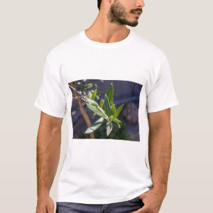 Camiseta Folhas de oliveira