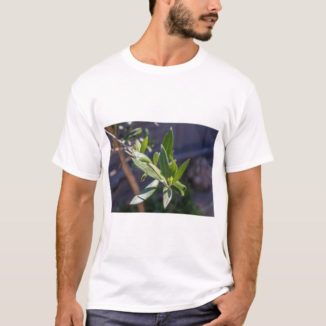Camiseta Folhas de oliveira (Frente)