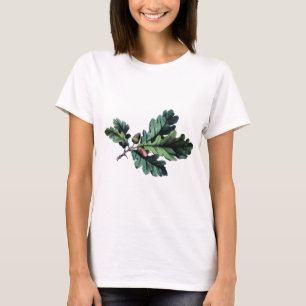 Camiseta Folhas e bolotas de carvalho de Impressão botâni