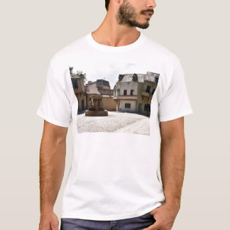 Camiseta Fontes na cidade velha
