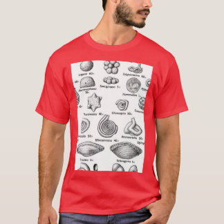 Camiseta Foraminifera I ama fósseis