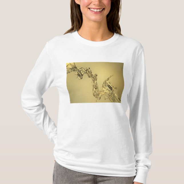 Camiseta Forma abstrata formada espirrando a água (Frente)