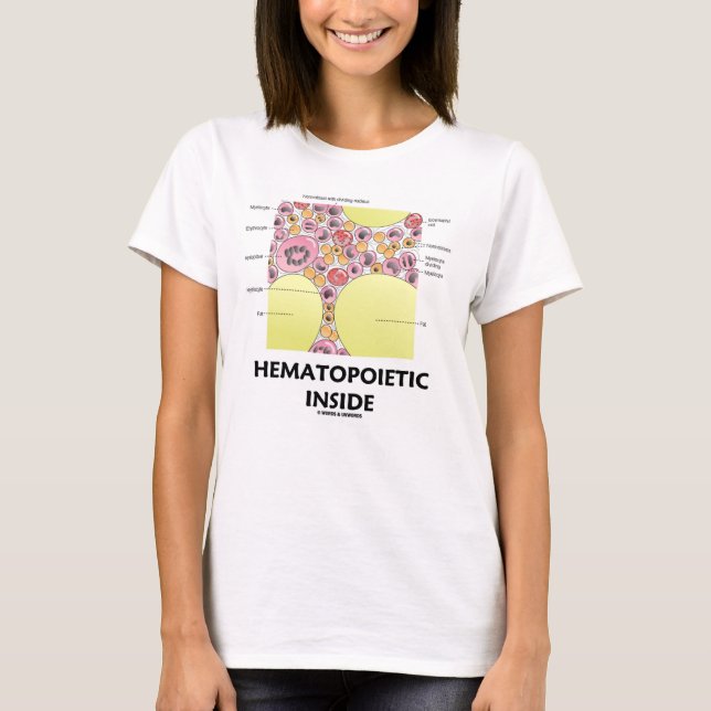 Camiseta Formação Hematopoiética De Células Sanguíneas Dent (Frente)