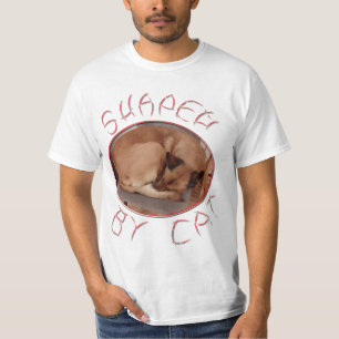 Camiseta Formatado por gatos