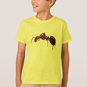 Camiseta Formiga de fogo