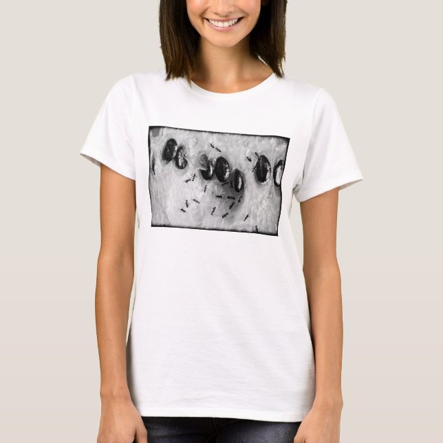 Camiseta formigas surfando (Frente)