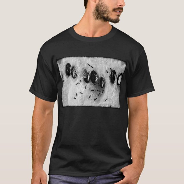 Camiseta formigas surfando (Frente)