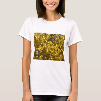Camiseta Forsythia