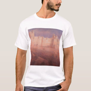 Camiseta Forte ambarino Jaipur