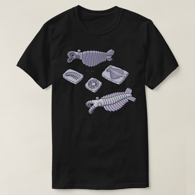 Camiseta Fósseis de Anomalocaris (Frente do Design)