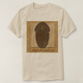 Camiseta Fóssil Trilobita Asaphiscus