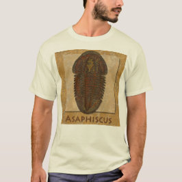 Camiseta Fóssil Trilobita Asaphiscus