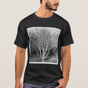 Camiseta Foto ao quadrado - Árvore