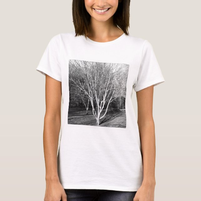 Camiseta Foto ao quadrado - Árvore (Frente)