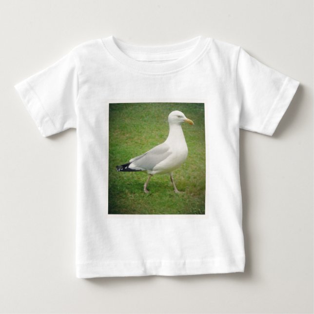 Camiseta Foto ao quadrado - Seagull caminhando (Frente)