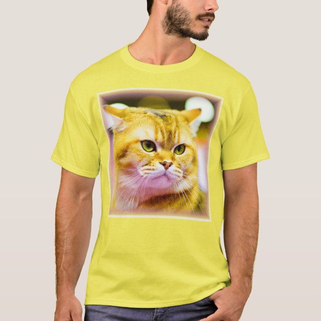 Camiseta Foto bonita de um gato bonito. Compre agora (Frente)