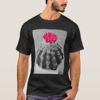 Foto Branca Preta Da Planta De Cactus Com Flor Ros