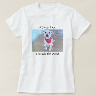 Camiseta Foto de Cachorro Branco Bonito com Rosto Doce
