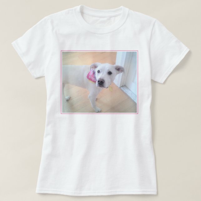 Camiseta Foto de Cachorro Doce com Cara Doce Olhando para C (Frente do Design)