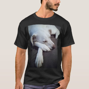Camiseta Foto de Cachorro Dormindo com patas grandes e boni