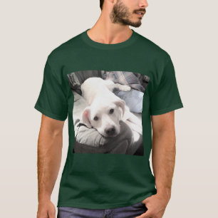 Camiseta Foto de Cachorro Gelado do Labrador Retriever com 