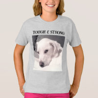Foto de Cachorro Mistura de Labrador Branco Fofinh