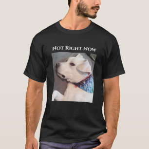 Camiseta Foto de Cachorro Preguiçoso Engraçado Vestindo Sca