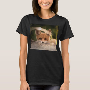 Camiseta Foto de uma Raposa Laranja Bonita