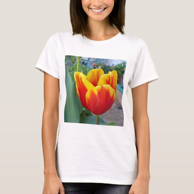 Camiseta Foto do Jardim Floral de Tulip Vermelho e Amarelo (Frente)