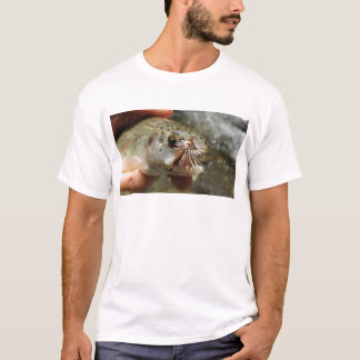 Camiseta Foto do Rainbow Trout