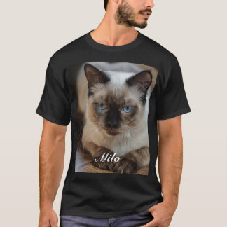 Camiseta Foto e Nome de Gato Ragdoll Personalizados