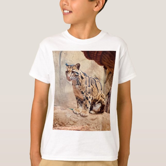Camiseta foto-leopardo nublada natureza vida selvagem exóti (Frente)