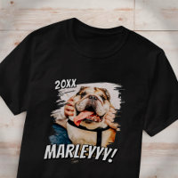 Foto personalizada de Pet personalizada do Modern 