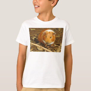 Camiseta Foto Pet Guiné Pig Personalizada