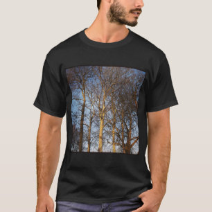 Camiseta Foto Quadrada - Árvores de Inverno Sunlit