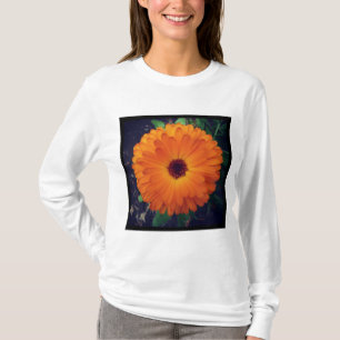 Camiseta Foto quadrada - cravo-de-defunto