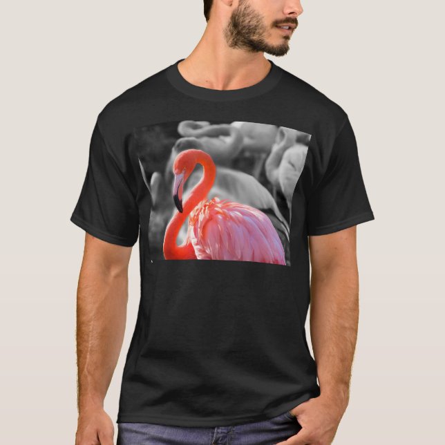 Camiseta Fotografia de Flamingo Bird (Frente)