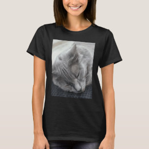 Camiseta Fotografia de Gato Cinza Bonito Dormindo