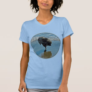 Camiseta Fotografia do Balé Keeshond - Arte de Cachorro Or