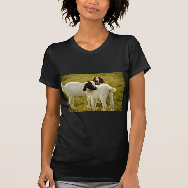 Camiseta Fotos de Cabritos Boer Marrons e Brancos no Pasto (Frente)