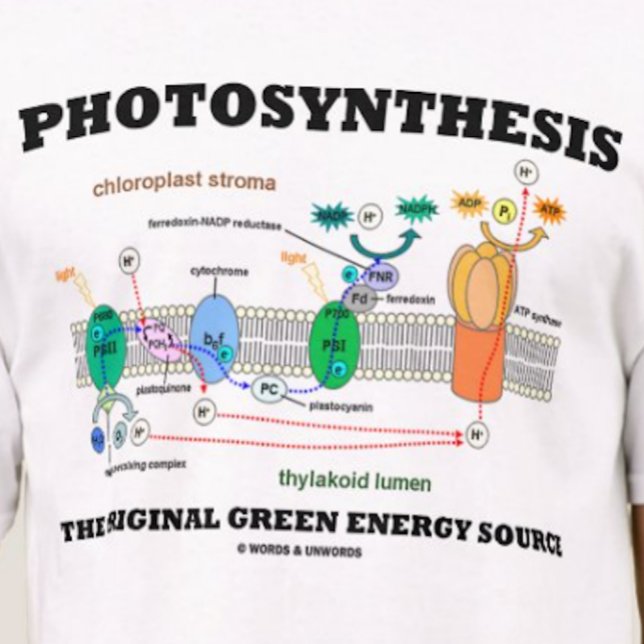 Camiseta Fotossíntese A Fonte De Energia Verde Original (Tee featuring light-dependent reactions of photosynthesis)