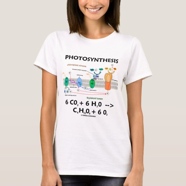 Camiseta Fotossíntese (dióxido de carbono + Água) (Frente)