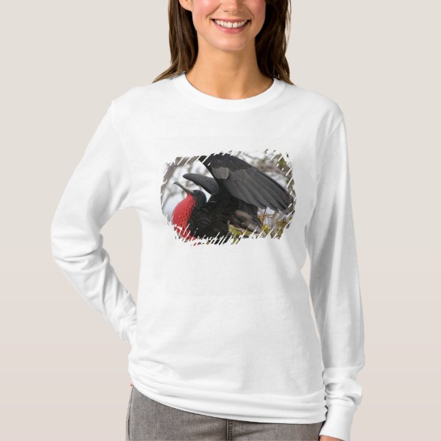 Camiseta Fragata Magnificente (Frente)