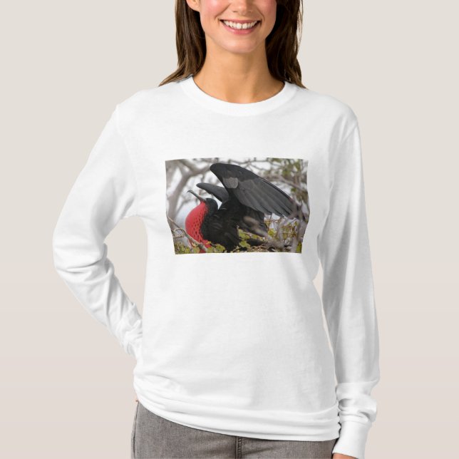 Camiseta Fragata Magnificente (Frente)