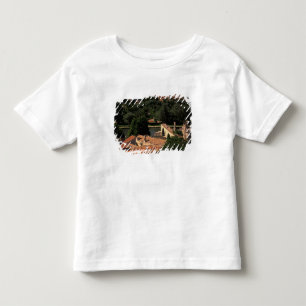 Camiseta França, Avinhão, Provença. Pont St, Benezet.
