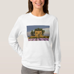 Camiseta França, Provença. Campo de lavanda e