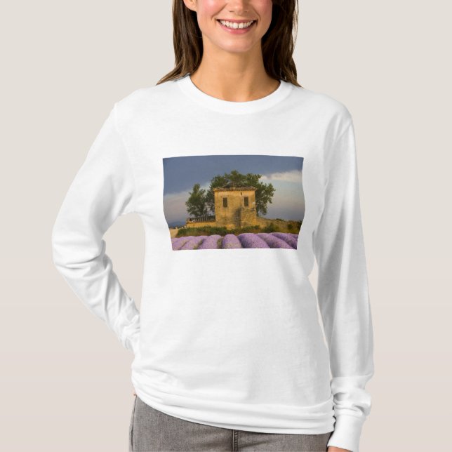 Camiseta França, Provença. Campo de lavanda e (Frente)