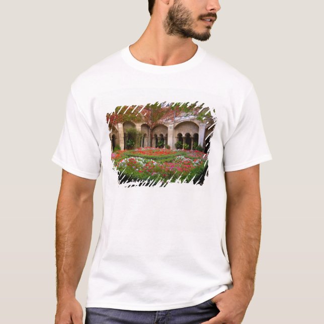 Camiseta França, St. Remy de Provence, claustros às 2 (Frente)