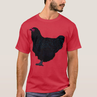 Camiseta Frango Australorp