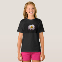 Frequente Daisy Gcna